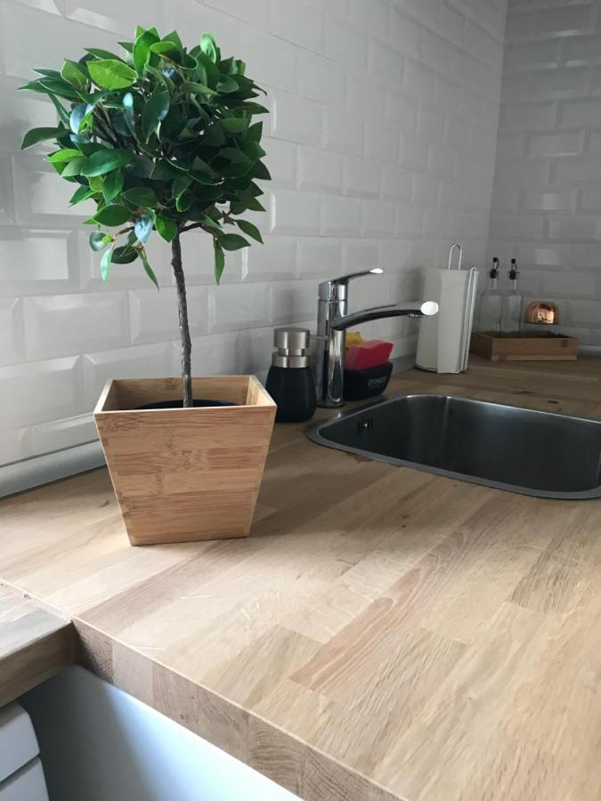 佩尼契Silvirhouse别墅 外观 照片